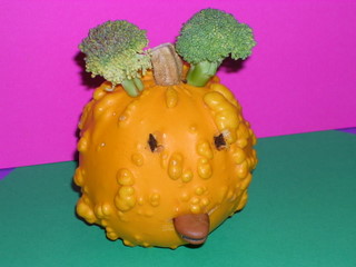 DSCN2189